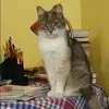 Отзыв от Зоя Фирсова
